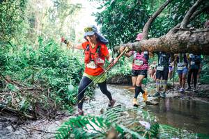 BIB: 
                            <button type="button" onclick="openModal(25469404)" class="btn btn-primary btn-sm float-right btn-popup" data-toggle="modal" data-target=".modal-high-quality">
                        <i class="fas fa-shopping-cart"></i> Add to Cart
                    </button>
                                            <button type="button" onclick="isThisMe(25469404, true)" class="btn btn-success btn-sm float-right btn-popup btn-isme hidden" data-toggle="tooltip" data-placement="bottom" title="นี่คือรูปของคุณใช่ไหม คลิกที่นี่เพื่อเอาเข้าอัลบั้ม">
                        <i class="fas fa-plus"></i> Add to album
                    </button>
                    <button type="button" onclick="isThisMe(25469404, false)" class="btn btn-warning btn-sm float-right btn-popup btn-isnotme hidden">
                        <i class="fas fa-ban"></i> Remove from album
                    </button>